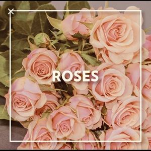 Meet your Posher, Audrey